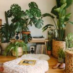 ideia de sala decorada com tipos de plantas para dentro de casa