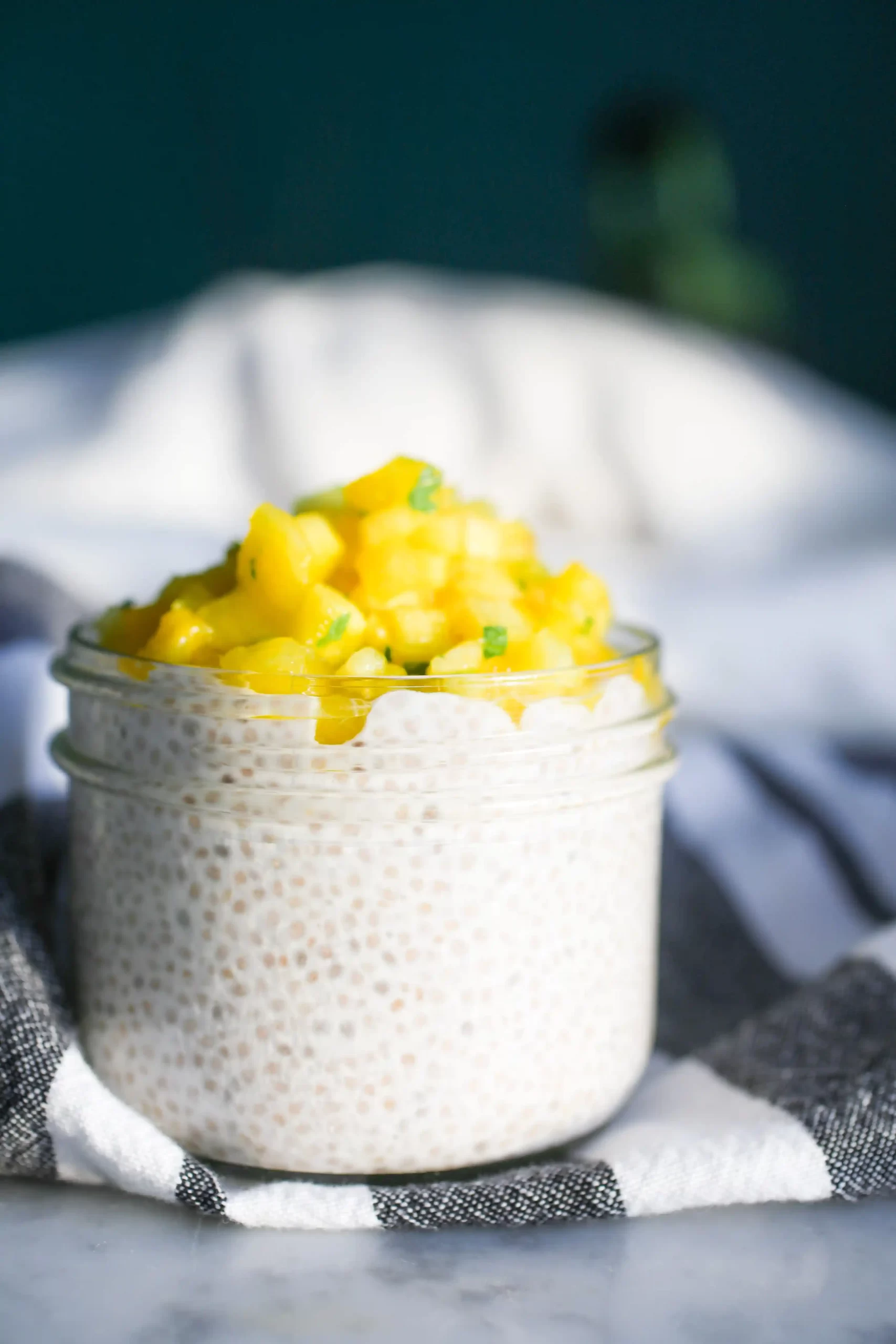 Saiba como fazer pudim de chia com leite e frutas