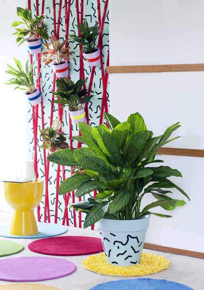 decoração com aglaonema para ideia de plantas para se ter em casa