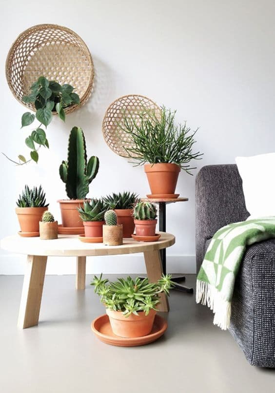 estilo urban jungle com vasos de plantas para decoração de sala com sofá cinza