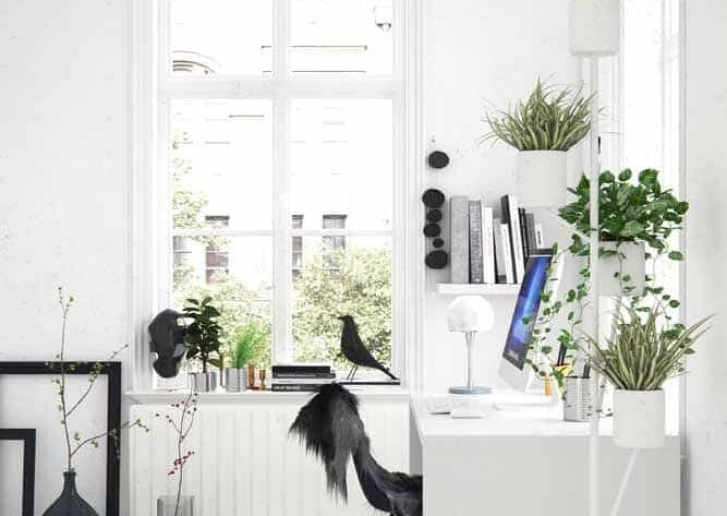 feng shui para home office clean decorado com vasos de plantas