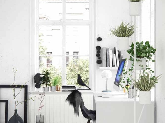 feng shui para home office clean decorado com vasos de plantas