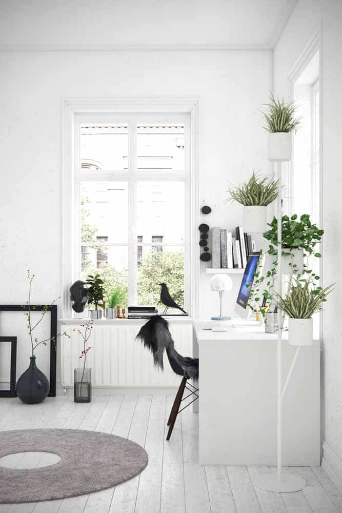 feng shui para home office clean decorado com vasos de plantas