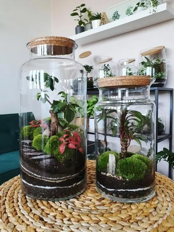 ideia de terrário de suculentas para decoração 