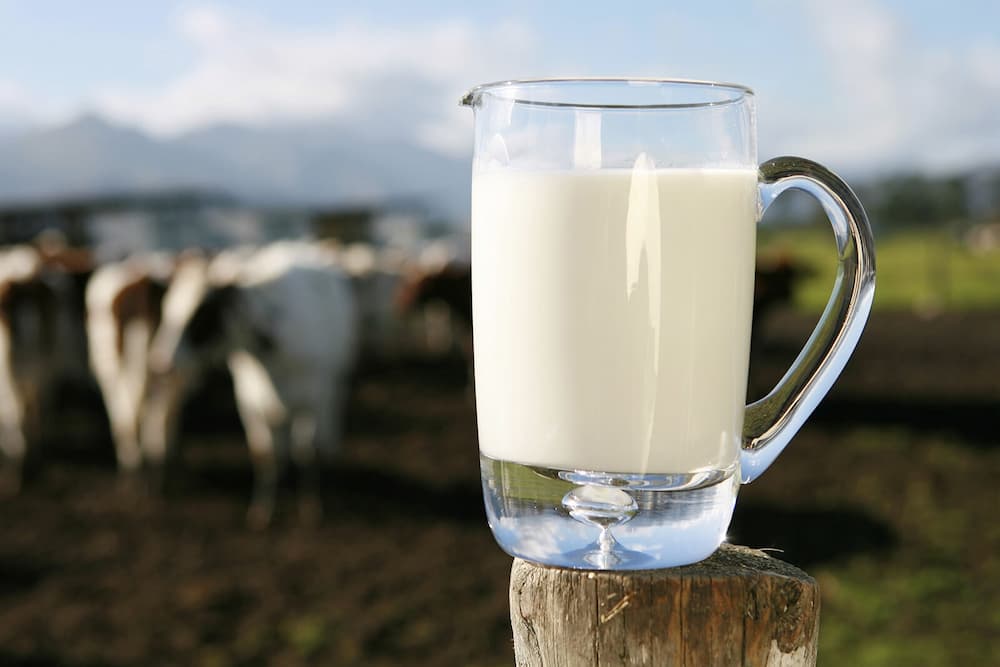 leite alimentos que ajudam a dormir melhor